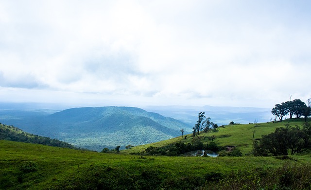 边措施的强 边措施的强