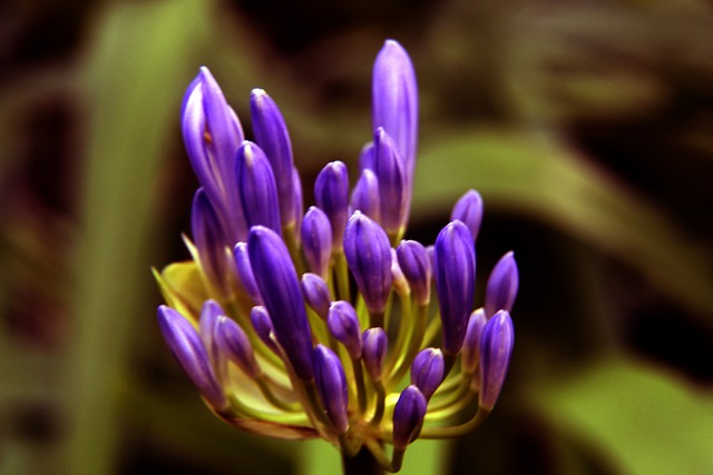 们拿下冠军 们拿下冠军