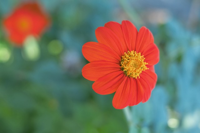 结果导致国 结果导致国