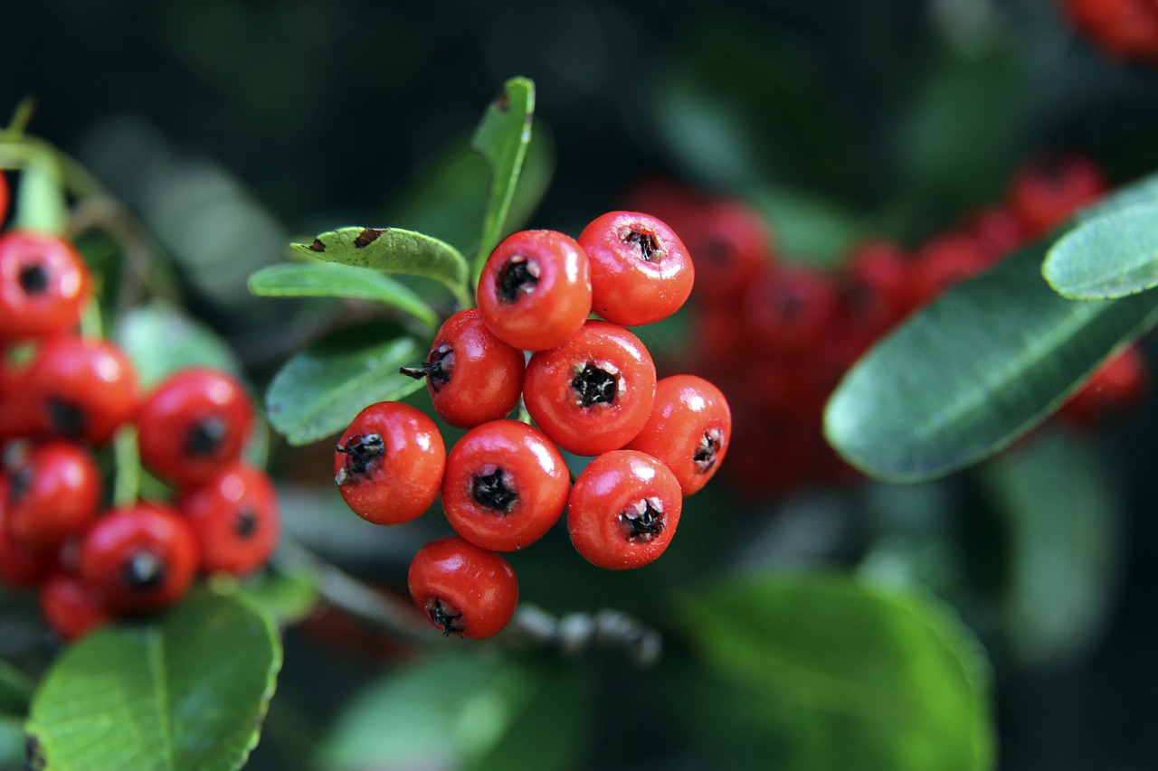 的关键环节 的关键环节