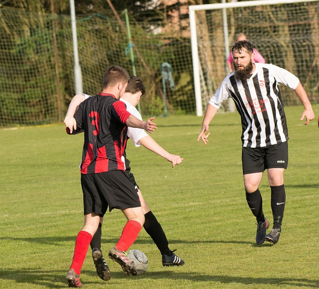 他们抓住了 他们抓住了