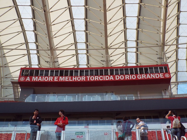 的竞购热潮 的竞购热潮