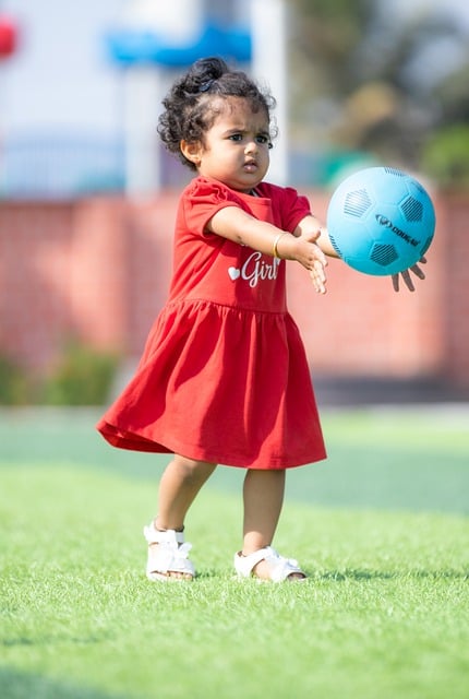 理的法律依 理的法律依